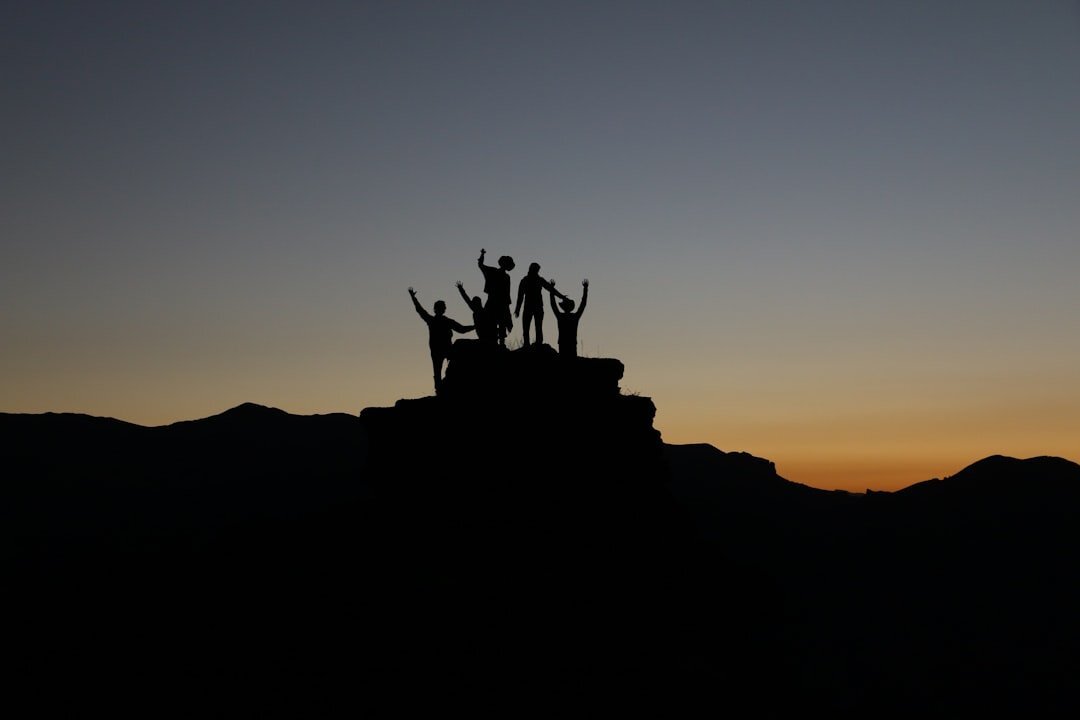 Section Image